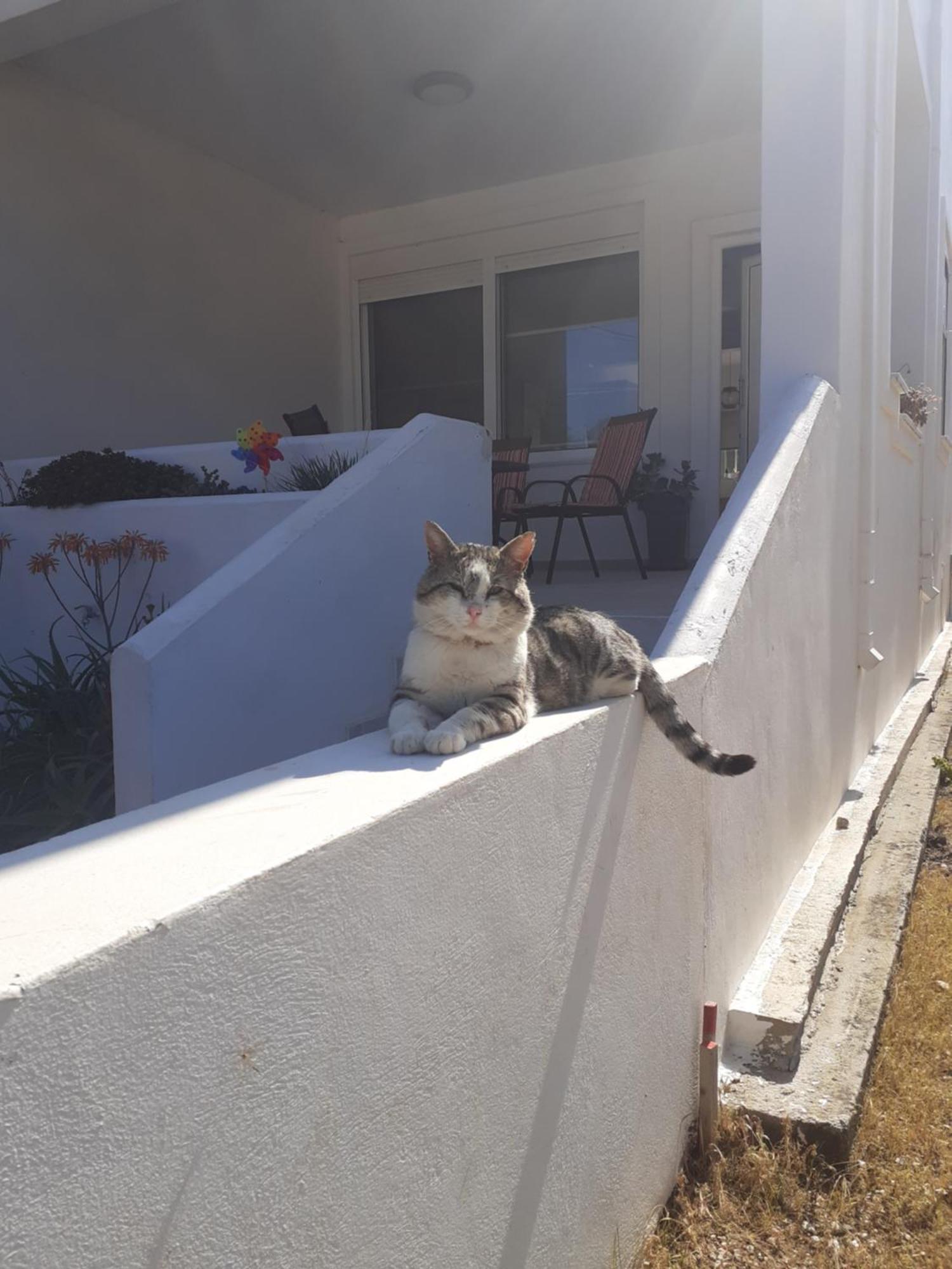 Katerina Summerhouse Dhaskalion ภายนอก รูปภาพ